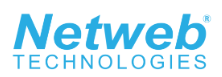 Netweb Tech India 